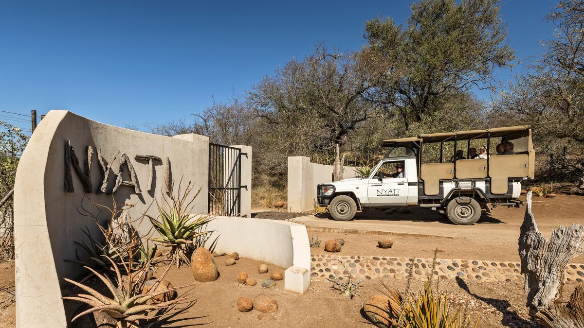 nyati safari lodge addo